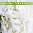 Artflower 4Pcs Real Touch Hydrangea Artificial Flowers, 22.5'' White Full Latex Faux Hydrangea Flowers for Home Floral Arrangements Wedding Bouquets Kitchen Table Centerpiece Decorations