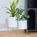 ARNIS Modern Planter Pots, Set of 2 Round Large Planters with Stand, Decorative Floor Planters, Metal Pots with Drainage Holes for Living Room, Office, Garden or Balcony, 8.25 &10.5 Inch, White & Gold