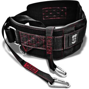 Ultimate Dip Belt | Secure Closure - No Sliding Down | Structured Back Support | 45-Angle Rings - Comfort Dip Position | 40 Strap & 2 Snap Hooks - for Dips, Pull Ups, Squats, Weight Lifting