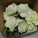 Geosar 8 Bundles Artificial Peonies Flowers Fake Silk Peony Bouquet Faux Peonies Flowers Bulk for Decoration Vase Floral Arrangements Wedding Party Table (White,Green)
