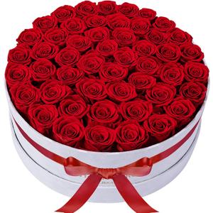50 Piece Roses in a Velvet Box, Flowers for Delivery, Presereved Flowers Birthday Gifts for Women Mom and Wife (Red)