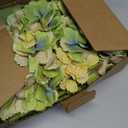 3PCS Green Silk Hydrangea Artificial Flowers, Fake Flowers & Faux Floral Bulk Bouquet for Home Decor Bathroom Table Centerpiece Shelf Decorations (Green)