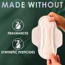 L. Ultra Thin Pads for Women, Organic Cotton Top Layer, Overnight Absorbency, Menstrual Pads with Wings, Made Without Synthetic Pesticides and Fragrances, 36 Count