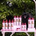 2 x Paris Hilton Paw Repair Cream - Sulfate-Free & Fragrance-Free, 120ml | Hypoallergenic, Nourishing Dog Cream for Soft, Healthy Paw Pads