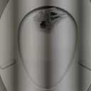 Bemis 1500EC Durable Wood Toilet Seat with Easy Clean Hinges, Made in USA, Elongated, White