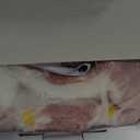 GOQOTOMO Flower Heating Pad for Back Pain Relief- 12" x 24"12 Heat Levels, 8 Timers Stay on, Machine Washable -F1224 (Pink)