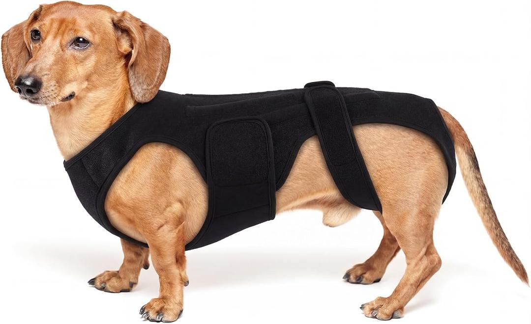 Back Brace for Dogs with Arthritis, IVDD Mobility Back Brace for Pet, Strong Dog Spine Stability Support, Breathable & Adjustable for Joint & Hip Support Senior or Less Mobile Dogs, Black M