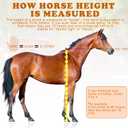2 PCS Horse Height Measuring Kit - Foldable 91 Inch Tape & Lightweight Aluminum Stick (27.5-74.8 Inch), Accurately Measure Horse Height in Hands
