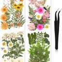 Nuanchu Pressed Flowers Bulk Dried Flower for Crafts, Dried Wildflowers Leave Natural with Tweezer for Resin Mold Scrapbooking Nail Soap Making DIY(Fresh Style,Elegant Color)