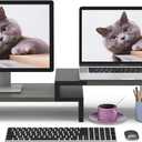 WESTREE Dual Monitor Stand Riser - 2 Shelf Computer Stand with Adjustable Length and Angle, Desktop Organizer for 2 Monitors (Grey)