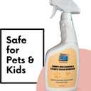 Stain & Odor Remover  Enzyme-Powered Cleaner for Pet Accidents on Carpet, Furniture & Floors  32 oz Spray  Safe for Dogs, Cats & Homes