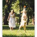 ALPI Chomp Ball - Durable Chew Toys for Dogs & Other Pets - Stimulating Dog Toys for Aggressive Chewers - Soft Dog Chews - 3-Pack, Orange