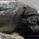 Toulite 48 Pcs Winter Hats Gloves Scarves Socks Set Fleece Lined Beanie Caps Neck Gaiter for Women Men Homeless Bulk