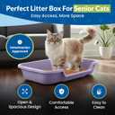 KittyGoHere Senior Cat Litter Box, Large Litter pan, Open Top Low Entrance Kitty Litter Box, Lightweight Low Entry Litters Box, Durable, Made in USA (Storybook Lavender)
