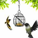 Bird Feeder, Suet Ball Feeders for Outside Hanging, Metal Hanging Bird Feeder with Hooks, Fat Ball Bird Feeder Suet Feeder for Wild Birds Outdoor Garden (Black,1 pcs)