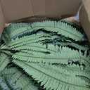 MARTINE MALL 2Pcs 48''/ 88 Leaves XXL Large Fake Ferns Artificial Ferns for Outdoors, UV Resistant Faux Boston Fern for Outdoor Planter Realistic Hanging Artificial Fake Plants for Porch Patio