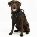 No Pull Dog Harness, Reflective Comfortable Vest Harness with Front & Back Easy Control Handle Adjustable Soft Padded Pet Vest for Small to Large Dogs (Large,Black)