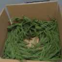 Hananona Artificial Pine Branches,40 Pcs Christmas Faux Cedar Stems, Artificial Faux Cedar Branches, Fake Christmas Greenery Pine Picks for Wreath Craft DIY Home Kitchen Decorations (40, Green)