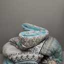 Cottolester Boho Comforter Set Queen Size,8 Piece Bed in a Bag Sage Green Paisley Comforter and Sheet Set,Striped Bedding Set Soft Microfiber Complete Bedding Set