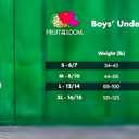 Fruit of the Loom Boys' Tag Free Cotton Briefs Underwear (Assorted Colors) (Large, Boys  10 Pack  Blue/Grey/Red)