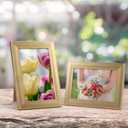 Giftgarden 4x6 Picture Frame Gold Set of 12, Multi Modern 4 x 6 Frames Bulk for Wall or Tabletop Display