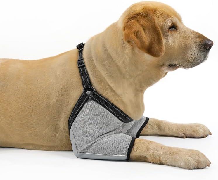 Coodeo Dog Elbow Protector with Adjustable Harness, Soft Breathable Sleeves for Wound Healing & Licking Prevention, D-Rings for Leash, Elbow Pads for Comfort, Designed for Large Dogs (Grey, L)