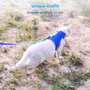 Cat Harness and Leash for Walking Escape Proof Breathable Mesh Fabric, Solid Blue, Extra Large, Adjustable Cat Walking Jackets, Padded Stylish Cat Vest