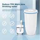 Water Filter Replacement Compatible with Zero Pitcher and Dispenser ZR-001 ZR-017 ZR-004 ZP-006 ZD-013 ZS-008, Multi-Stage Filter System, Reduce Lead, Chromium, and PFOA/PFOS, Pack of 4, By DESENRUIS