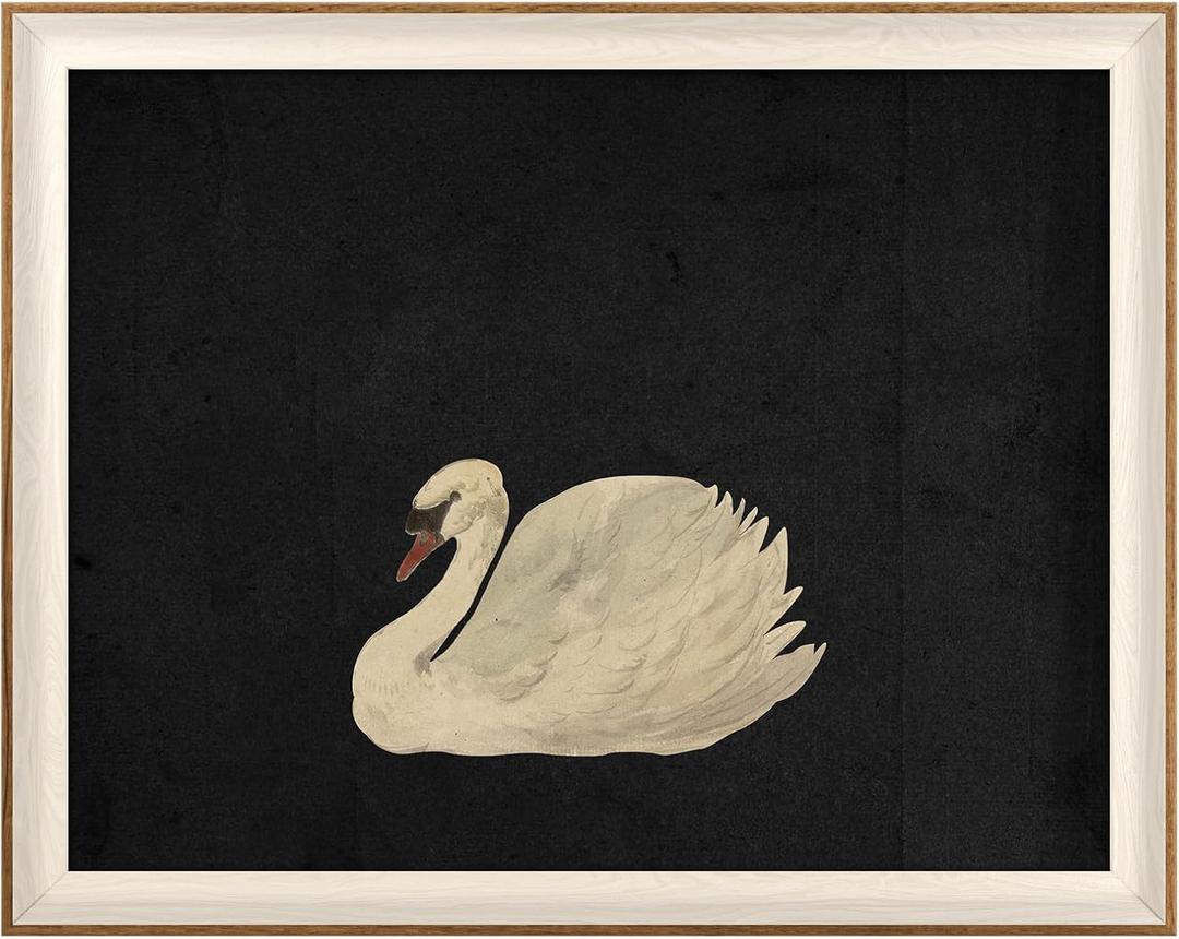 VIYYIEA Framed Wall Art for Living Room, Swan Art Canvas Prints, Vintage Home Decor, Animals Painting Picture, Bathroom Wall Decor Gifts for Friends or Family - 20L x 16W