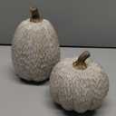 Thanksgiving Resin Pumpkins Fall Decor, Brown and White Decorative Pumpkins Figurine, Artificial Carved Faux Pumpkin Statues for Rustic Fall Tabletop Home Decor, Farmhouse, Autumn, Harvest, Wedding (Set of 2, Geometric Faceted Pumpkins)