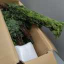 4FT Artificial Cedar Topiary Trees, 2 Pack in Pots