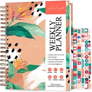 PLANBERRY Large Weekly Planner Premium  Undated Life & Budget Planner  Organizer & Productivity Journal, 8x10.4 (African Terracotta)