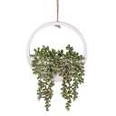 Floweroyal Artificial Succulents Hanging Plants 12.2'' Fake String of Pearls in Pot with 8.3'' Lanyard for Indoor Outdoor Wall Decor.