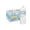 Splash Refresher, Lemon Flavor Water Beverage, 16.9 Fl Oz Plastic Bottles (24 Count)