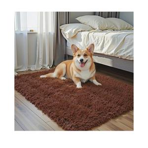 Small Rugs for Bedroom 2x3, Soft Area Rug for Living Room Dorm, Non Slip Shag Rugs for Girls Boys Bedroom, Soft Kids Carpet, Modern Home Decor Aesthetic(Coffee, 2 x 3