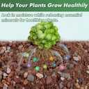 18 Pounds Mix Horticultural Lava Rocks, 5-8 mm Lava Rocks for Plants, Bonsai Rocks Horticultural Grit Soil Cover Gravel for Succulents and Hydroponics, Fairy Gardening, Top Dressing, Plant Drainage