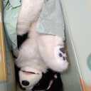 Chongker Realistic Companion Robot Dog Stuffed Animals for The Elderly