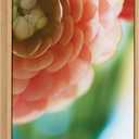 Kate and Laurel Sylvie Light Side Framed Canvas Wall Art by Alicia Bock; 18x24 Natural; Close-Up Flower Photography Art for Wall