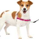PetSafe Easy Walk No-Pull Dog Harness - The Ultimate Harness to Help Stop Pulling - Take Control & Teach Better Leash Manners - Helps Prevent Pets Pulling on Walks, Small, Raspberry/Gray