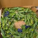 HomeKaren Wreaths for Front Door 22", Door Spring Wreath with Eucalyptus Olive Boxwood Leaves, Greenery Wreath Door Decoration for Spring Summer All Season Home and Outdoor