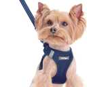 Rabbitgoo Dog Harness Small Sized and Leash Set, Step in Soft Light Puppy Vest, Breathable Mesh Pet Harness, Reflective for Safe Outdoor Walking, Navy Blue XXS (XXS (Chest: 12.4 - 14.2"))