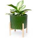 LaDoVita Ceramic Plant Pot with Stand, 10 Inch Planter with Wood Shelf, Modern Round Flower Pots Indoor with Wood Planter Holder, Dark Green Water Ripple Pattern