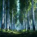 ASJ Peel and Stick Wallpaper Forest Mural, Birch Tree Fern Green Self-adhesive peel & stick fabric mural; water-resistant; 5 sizes options; for bedroom, living room, nursery, 177" x 102"