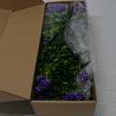 GREENRAIN Artificial Flowers Outdoor Fake Flowers for Decoration UV Resistant No Fade Faux Plastic Plants Garden Porch Window Box Dcor (6 Bundles, 3#Purple)