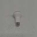 Philips Bulb 45W R20 E26