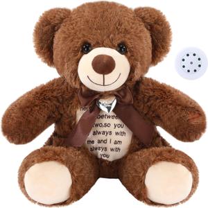 12 Inch Bear Stuffed Animals with Voice Recorder Set 30 Seconds Voice Sound Recorder Module Soft Plush Remembrance Bear with Photo Pendant with Zipper Memorial Gifts(Dark Brown)