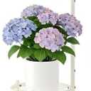 2-Tier Hanging Plant Stand Indoor and Outdoor , Space-Saving Iron Planter Shelves, Multiple Flower Pot Display Holder Shelf with Hanging Hook, Corner Plant Stands (White)