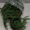 2 Pcs 6 Ft Christmas Artificial Norfolk Pine Garlands, Real Touch Winter Pine Garland, Green Artificial Greenery Garland for Mantle, Table, Wall, Fireplace, Indoor &Outdoor Holiday Decorations