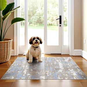 WITSHOCK Washable 2x3 Entryway Area Rug: Kitchen Rugs Runner Abstract Soft Floor Mat Non-Slip Stain Resistant Indoor Carpet for Bathroom Living Room,Blue Brown