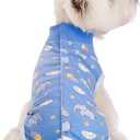 2 Packs Pet Dog Recovery Onesie Suit for Dogs Cats After Surgery,Dog Abdominal Wounds Bandages Cone E-Collar Alternative. (Blue, S)